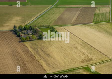 Vista aerea, Perrich, prati e campi del Reno e casa residenziale circondata da alberi, Ginderich, Wesel, basso Reno, Renania settentrionale-Vestfale Foto Stock
