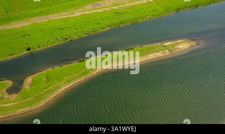 Vista aerea, riserva naturale Bislicher Insel Auenlandschaft, promontorio sul fiume Alter Rhein, alberi nell'acqua e nella foresta, vista distante, Ginde Foto Stock