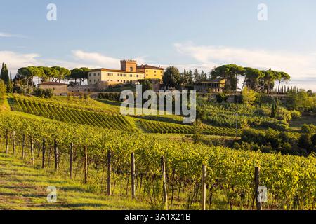 Luxus-Ferienhaus Villa del Monte umgeben von Weinbergen und Pinien auf einem Hügel bei San Gimignano, Provinz Siena, Toskana, Italien *** vacanza di lusso Foto Stock