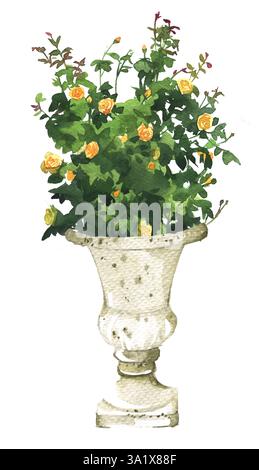 Vaso vintage con splendidi fiori isolati sul bianco. Contanatore di fiori invecchiati con piante. Vecchio concetto di decorazione architettonica. Foto Stock