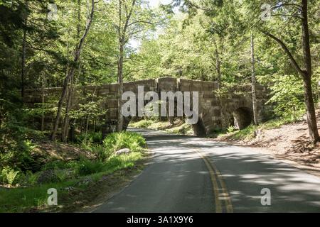 Curve stradali sotto lo Stanley Brook Bridge nell'Acadia National Park Foto Stock