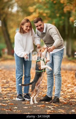 Far stare il cane alle gambe posteriori, allenarsi. Una coppia adorabile è con il loro cane carino all'aperto. Foto Stock