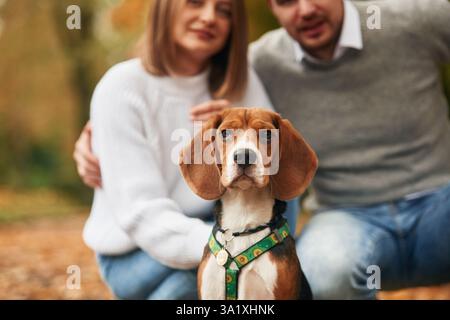 Seduti, riposanti. Una coppia adorabile è con il loro cane carino all'aperto. Foto Stock