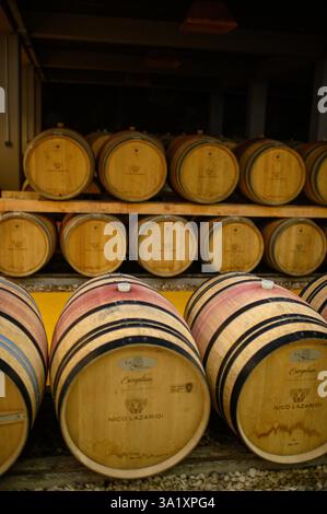 Una lunga fila di botti di vino si estende attraverso il deposito sotterraneo della cantina. Foto Stock