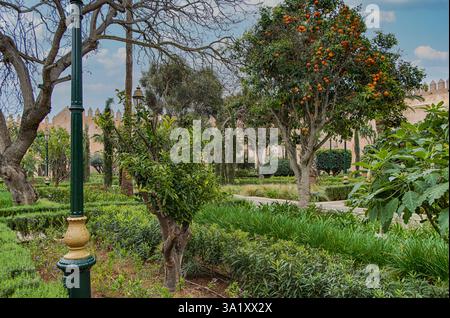 Giardini andalusi in Udayas kasbah. Kasbah di Udayas è un piccolo complesso fortificato e un simbolo dell'archittetura Almohade, aggiunto all'UNESCO W Foto Stock