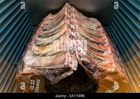 L'invecchiamento a secco di manzo marmorizzato si trova nel frigorifero di un ristorante. Carne di manzo invecchiata a secco, impiccata in frigorifero per mesi. Foto Stock