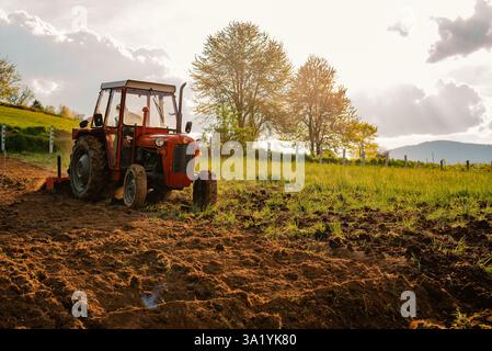 Trattore che semina prodotti nei campi agricoli in primavera. Foto Stock