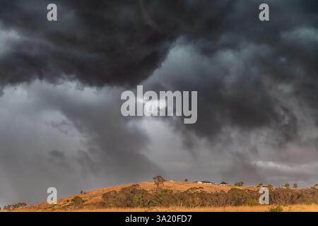 Tempeste serali che attraversano la campagna di Blayney, nel centro-ovest del nuovo Galles del Sud, Australia. Foto Stock