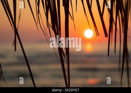 Uno splendido tramonto proietta un bagliore arancione sul mare Adriatico, incorniciato da foglie di palma che ondeggiano dolcemente nella brezza durante il crepuscolo in Albania. Foto Stock