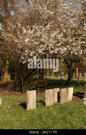 Calza le tombe, segnate da una semplice pietra. Foto Stock