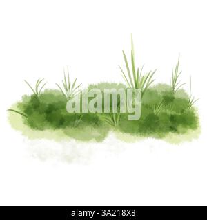 Erba verde e cespugli lussureggianti illustrazione digitale acquerello. . Vegetazione primaverile e paesaggio naturale isolato su sfondo bianco. Erba boscata e S Foto Stock