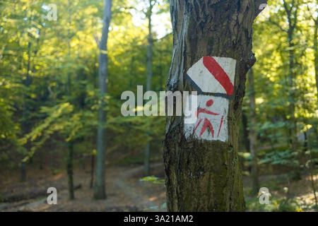 Cartello rosso che indica il percorso turistico di montagna, segno rettangolare dipinto sull'albero, simbolo a strisce macro, dettaglio estremo, vista frontale. Segno rosso Foto Stock