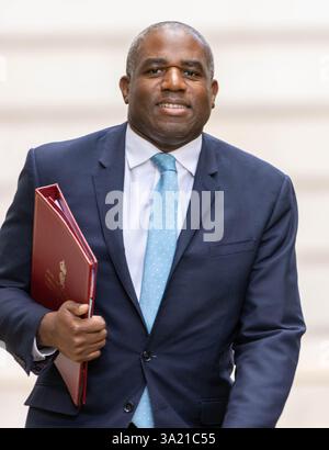 Londra, Regno Unito. 11 marzo 2025. David Lammy arriva ad una riunione di gabinetto al 10 di Downing Street a Londra. Crediti: Ian Davidson/Alamy Live News Foto Stock