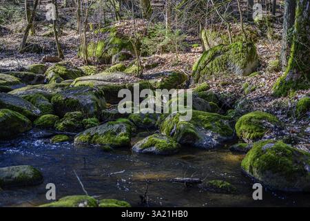 Pietre coperte di muschio e un tranquillo ruscello in una foresta tranquilla circondata da alberi, Hoellbachtal, alto Palatinato Foto Stock