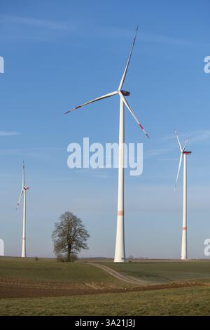 Grandi turbine eoliche su un campo con un albero, simbolo della protezione ambientale e dell'energia pulita, parco solare, vicino a Ulma, Alb svevo, Baden-Wuerttembe Foto Stock