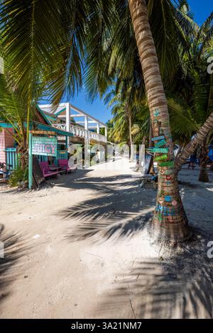 Attraverso le palme da cocco a Caye Caulker, Belize, America centrale Foto Stock