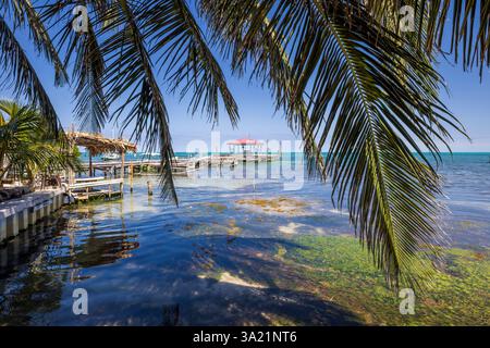 La costa di Caye Caulker, Belize, America centrale Foto Stock