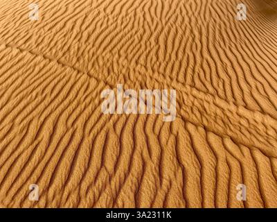Motivi su dune di sabbia dorata Foto Stock