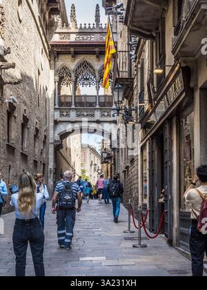 El Pont del Bisbe (Ponte del Vescovo) che attraversa il Carrer del Bisbe nel quartiere gotico di Barcellona. Foto Stock