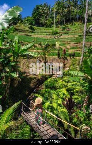 Una donna che indossa un cappello di paglia si trova sul ponte pedonale in lussureggianti terrazze di riso, circondata da una ricca vegetazione e flora tropicale, Bali, Indonesia Foto Stock