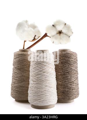 Bobine di filati con fiori di cotone isolati su sfondo bianco. Foto Stock