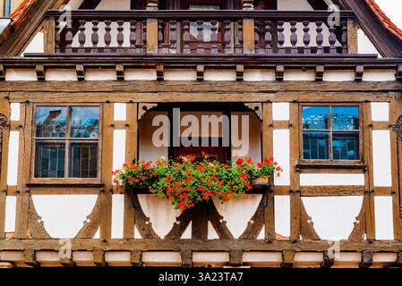 Facciata di una tradizionale casa alsaziana. Obernai, Bas-Rhin, Grand Est, Francia, Europa Foto Stock