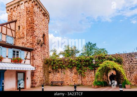 I bastioni di Obernai, vista dall'interno. Obernai, Bas-Rhin, Grand Est, Francia, Europa Foto Stock