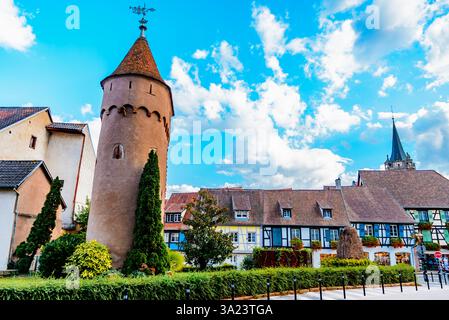 Torre cittadina. I bastioni di Obernai. Obernai, Bas-Rhin, Grand Est, Francia, Europa Foto Stock