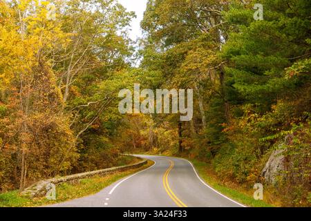 Skyline Drive nel parco nazionale di Shenandoah, Virginia, Stati Uniti Foto Stock
