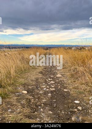 Un aspro sentiero sterrato con rocce sparse taglia attraverso l'erba dorata alta, che conduce verso montagne lontane sotto un cielo nuvoloso. Un'escursione naturale all'aperto Foto Stock