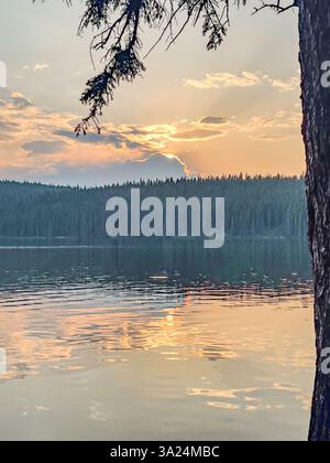 Il sole tramonta dietro uno strato di nuvole su un lago calmo, che emette una luce dorata. Un ramo d'albero si estende nel telaio, aggiungendo profondità al dorso boscoso Foto Stock