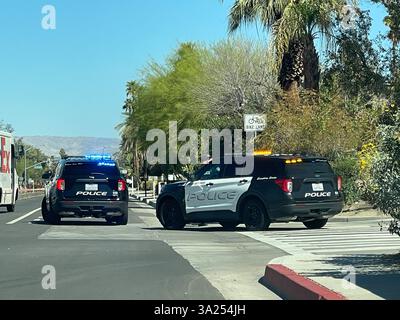 10 marzo 2025, Palm Springs, California, Stati Uniti: Due veicoli del dipartimento di polizia di Palm Springs sono posizionati in un incrocio, bloccando parte della strada. Un SUV della polizia ha le sue luci di emergenza blu lampeggianti, mentre l'altro ha spie ambra attivate. Un ufficiale in uniforme si trova accanto a uno dei veicoli, parzialmente oscurato dal SUV. La scena è ambientata su uno sfondo di palme, vegetazione desertica e montagne lontane, caratteristiche di Palm Springs, California. Nelle vicinanze è visibile un cartello con la pista ciclabile che indica che la posizione si trova in un'area pedonale e adatta ai ciclisti. La rea Foto Stock