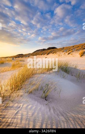 La calda luce della sera cade sul paesaggio delle dune lungo la costa vicino a Westerschouwen, a Schouwen-Duiveland, nella Zelanda Foto Stock