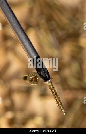 cacciavite con punta magnetica e viti autofilettanti decorative dorate per il fissaggio del legno, nuove viti dorate gialle fissate al cacciavite, chiudere Foto Stock