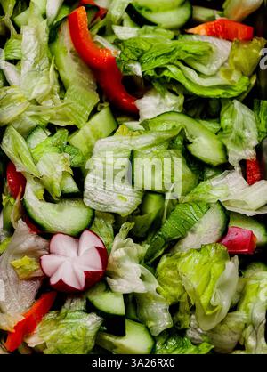 Insalata fresca e salutare con lattuga croccante, cetriolo a fette, peperone rosso e guarnizione di ravanello. Verdure biologiche, dietetiche, pasti vegani, dalla fattoria alla tavola, ingredienti freschi, mangiare pulito Foto Stock