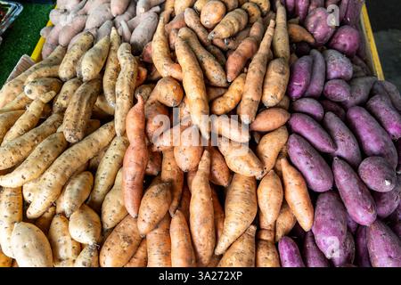 Varietà di tuberi biologici di patate dolci nella stalla del mercato, con pelli gialle, rosse e viola Foto Stock