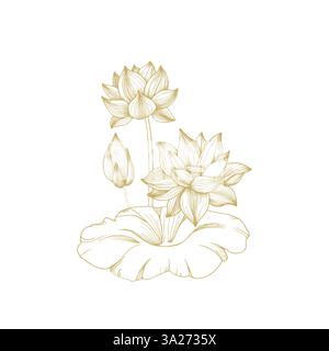 Fiori e foglie d'oro di loto. Illustrazione vettoriale disegnata a mano e isolata su bianco Illustrazione Vettoriale