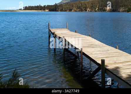 Il molo in legno si estende su un lago blu calmo con alberi e colline lontane sotto un cielo limpido. Città del Capo, Sud Africa Foto Stock
