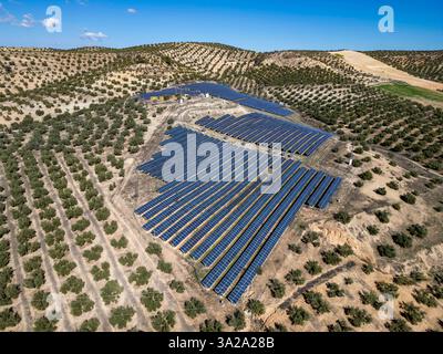 Veduta aerea dei pannelli solari situati in una piantagione di oliveti, Andalusia, Spagna Foto Stock