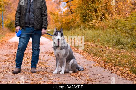 Un uomo con un cane da husky in un parco Foto Stock