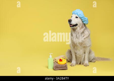 Cane carino con cuffia da doccia e altri accessori da bagno su sfondo giallo. Spazio per il testo Foto Stock