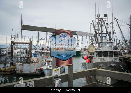 Imbarcazioni commerciali per la pesca e la pesca dei granchi ormeggiate al porto di French Creek, tra Parksville e Qualicum Beach, lungo la costa orientale dell'isola di Vancouver, Foto Stock