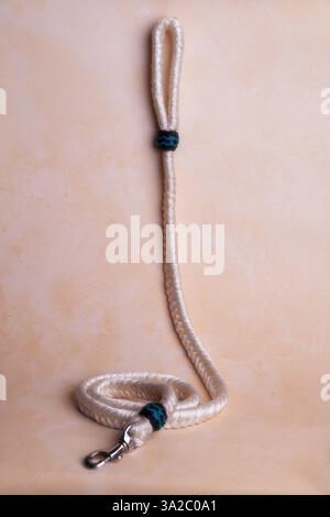 Guinzaglio per cani resistente con chiusura robusta e comoda impugnatura: Perfetto per passeggiate, allenamenti e avventure. Ideale per la cura degli animali domestici, l'e-commerce e il marketing. Foto Stock