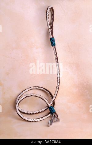 Guinzaglio per cani resistente con chiusura robusta e comoda impugnatura: Perfetto per passeggiate, allenamenti e avventure. Ideale per la cura degli animali domestici, l'e-commerce e il marketing. Foto Stock