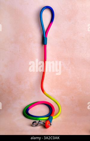 Guinzaglio per cani resistente con chiusura robusta e comoda impugnatura: Perfetto per passeggiate, allenamenti e avventure. Ideale per la cura degli animali domestici, l'e-commerce e il marketing. Foto Stock