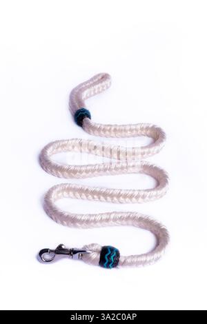 Guinzaglio per cani resistente con chiusura robusta e comoda impugnatura: Perfetto per passeggiate, allenamenti e avventure. Ideale per la cura degli animali domestici, l'e-commerce e il marketing. Foto Stock
