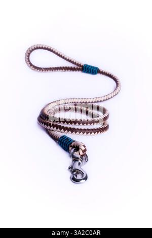 Guinzaglio per cani resistente con chiusura robusta e comoda impugnatura: Perfetto per passeggiate, allenamenti e avventure. Ideale per la cura degli animali domestici, l'e-commerce e il marketing. Foto Stock