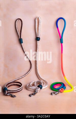 Guinzaglio per cani resistente con chiusura robusta e comoda impugnatura: Perfetto per passeggiate, allenamenti e avventure. Ideale per la cura degli animali domestici, l'e-commerce e il marketing. Foto Stock