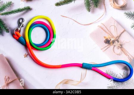 Guinzaglio per cani resistente con chiusura robusta e comoda impugnatura: Perfetto per passeggiate, allenamenti e avventure. Ideale per la cura degli animali domestici, l'e-commerce e il marketing. Foto Stock