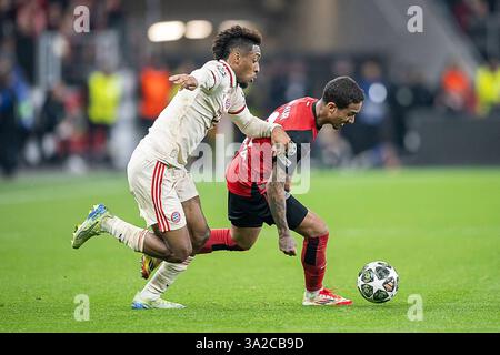Bayer 04 Leverkusen vs. FC Bayern München, Fussball, UEFA Champions League, Achtelfinale, Rückspiel, Saison 2024/2025, 11.03.2025 11.03.2025, Fussball: UEFA Champions League, Saison 2024/2025, Achtelfinale, Rueckspiel, Bayer 04 Leverkusen - FC Bayern Muenchen in der BayArena di Leverkusen. Zweikampf zwischen Kingsley Coman FC Bayern Muenchen, 11 e Arthur Bayer 04 Leverkusen, 13. Foto: Kirchner-Media/Thomas Haesler Leverkusen BayArena NRW Deutschland *** Bayer 04 Leverkusen vs FC Bayern Monaco, calcio, UEFA Champions League, sedicesimo turno, seconda tappa, stagione 2024 2025, 11 03 2025 11 03 2025, Foto Stock
